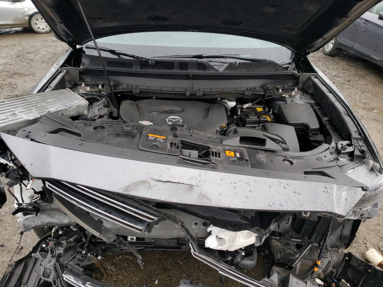 Photo 7 from auction – 2019 MAZDA CX-9 SIGNA with VIN JM3TCBEY0K0334697