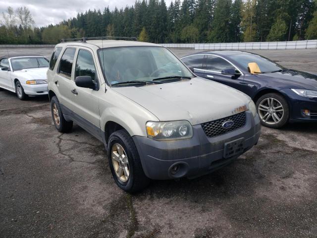 FORD ESCAPE XLT 2005 with VIN 1FMYU93185KA61829 - Photo from auction