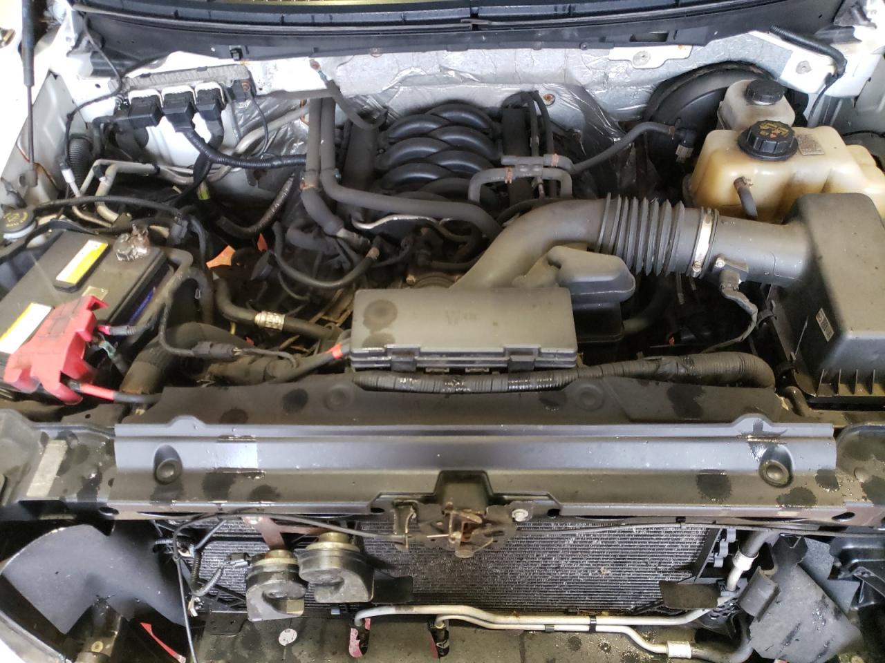 Photo 7 from auction – 2013 FORD F150 with VIN 1FTNF1CF3DKE78773