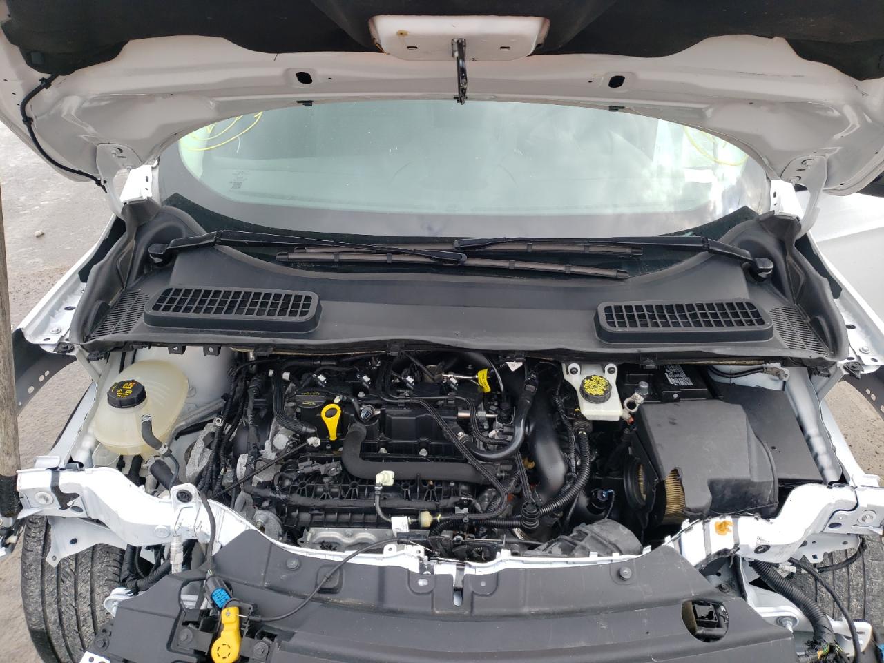 Photo 7 from auction – 2019 FORD ESCAPE SE with VIN 1FMCU0GD2KUA07341