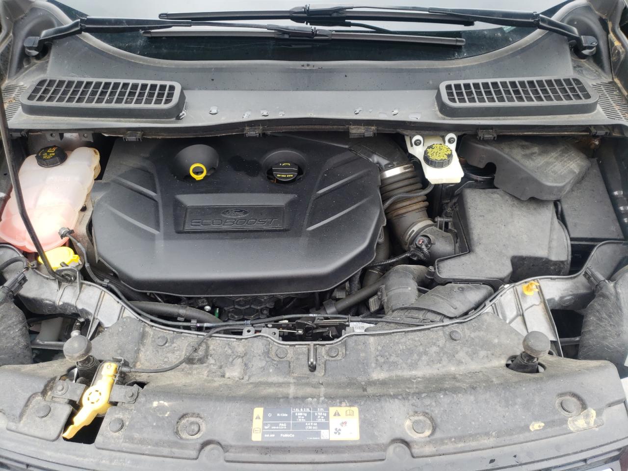 Photo 7 from auction – 2014 FORD ESCAPE TIT with VIN 1FMCU0J92EUE36908