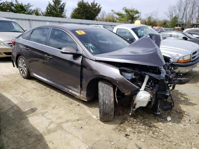 HYUNDAI SONATA SPO 2016 with VIN 5NPE34AF8GH317335 - Photo from auction
