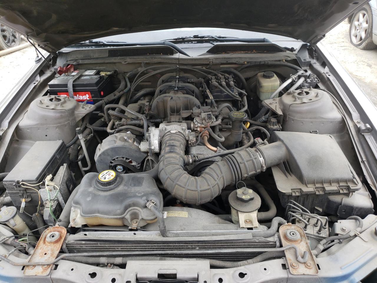 Photo 7 from auction – 2005 FORD MUSTANG with VIN 1ZVFT80N455112450