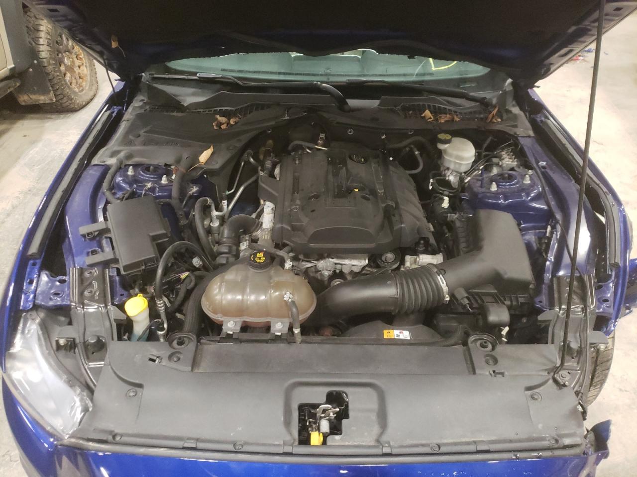 Photo 7 from auction – 2015 FORD MUSTANG with VIN 1FA6P8TH4F5309767