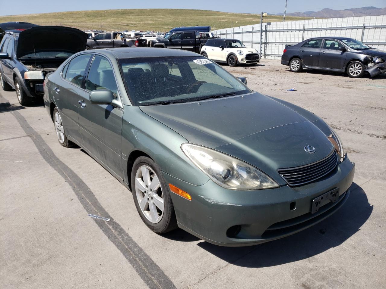 LEXUS ES 330 2005 with VIN JTHBA30G955090844 - Photo from auction