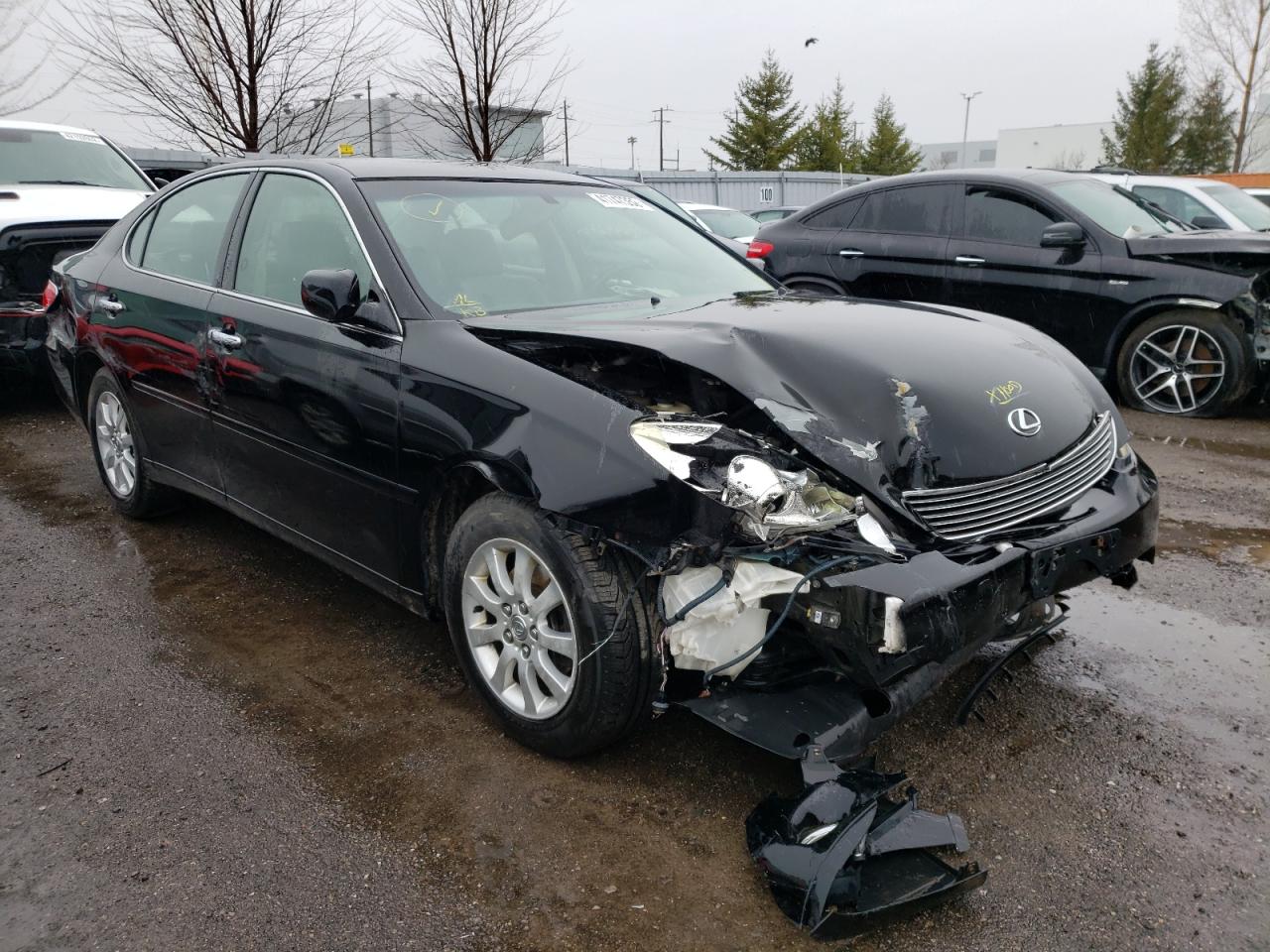 LEXUS ES 330 2005 with VIN JTHBA30GX55098743 - Photo from auction
