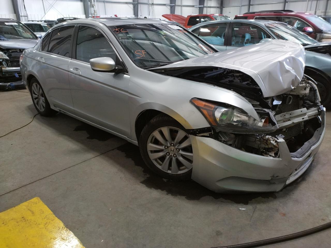 HONDA ACCORD EXL 2011 with VIN 1HGCP2F81BA042774 - Photo from auction