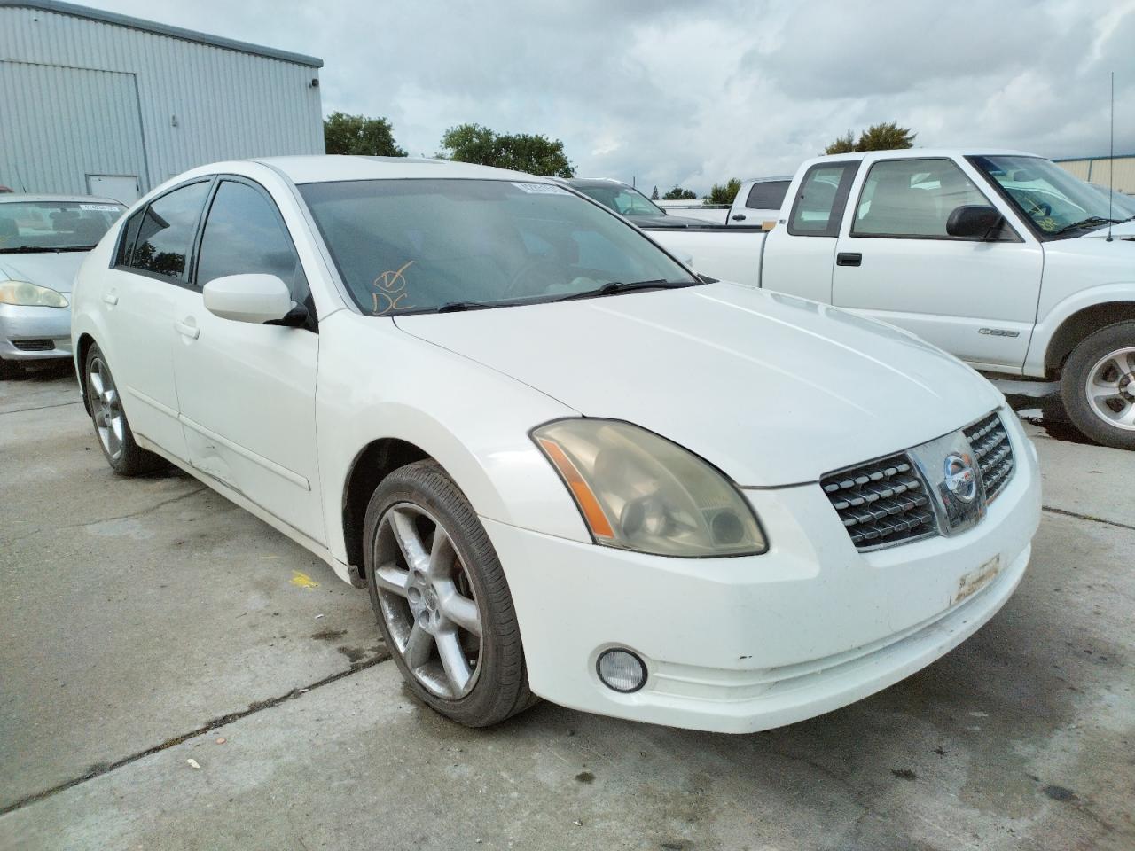 NISSAN MAXIMA SE 2005 with VIN 1N4BA41E55C833005 - Photo from auction