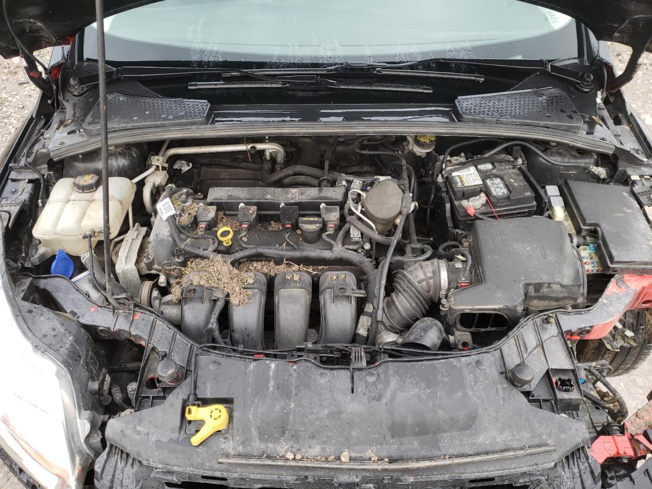 Photo 7 from auction – 2014 FORD FOCUS SE with VIN 1FADP3F24EL329514