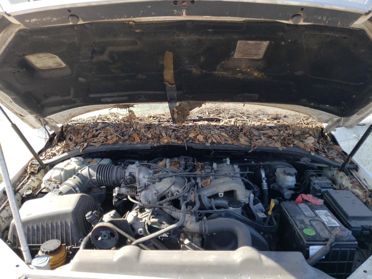 Photo 7 from auction – 2005 KIA SORENTO EX with VIN KNDJD733755495556