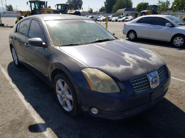 NISSAN MAXIMA SE 2005 with VIN 1N4BA41E85C827487 - Photo from auction