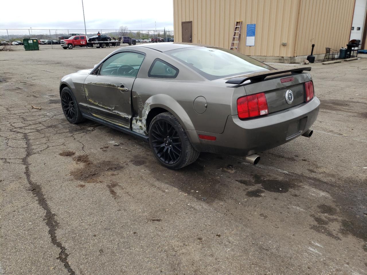 Photo 3 from auction – 2005 FORD MUSTANG with VIN 1ZVFT80N955244927