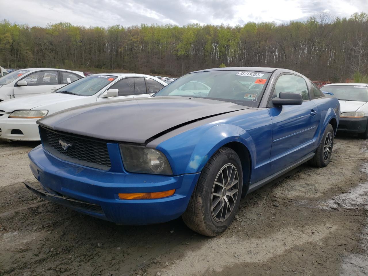Photo 2 from auction – 2005 FORD MUSTANG with VIN 1ZVFT80N455112450