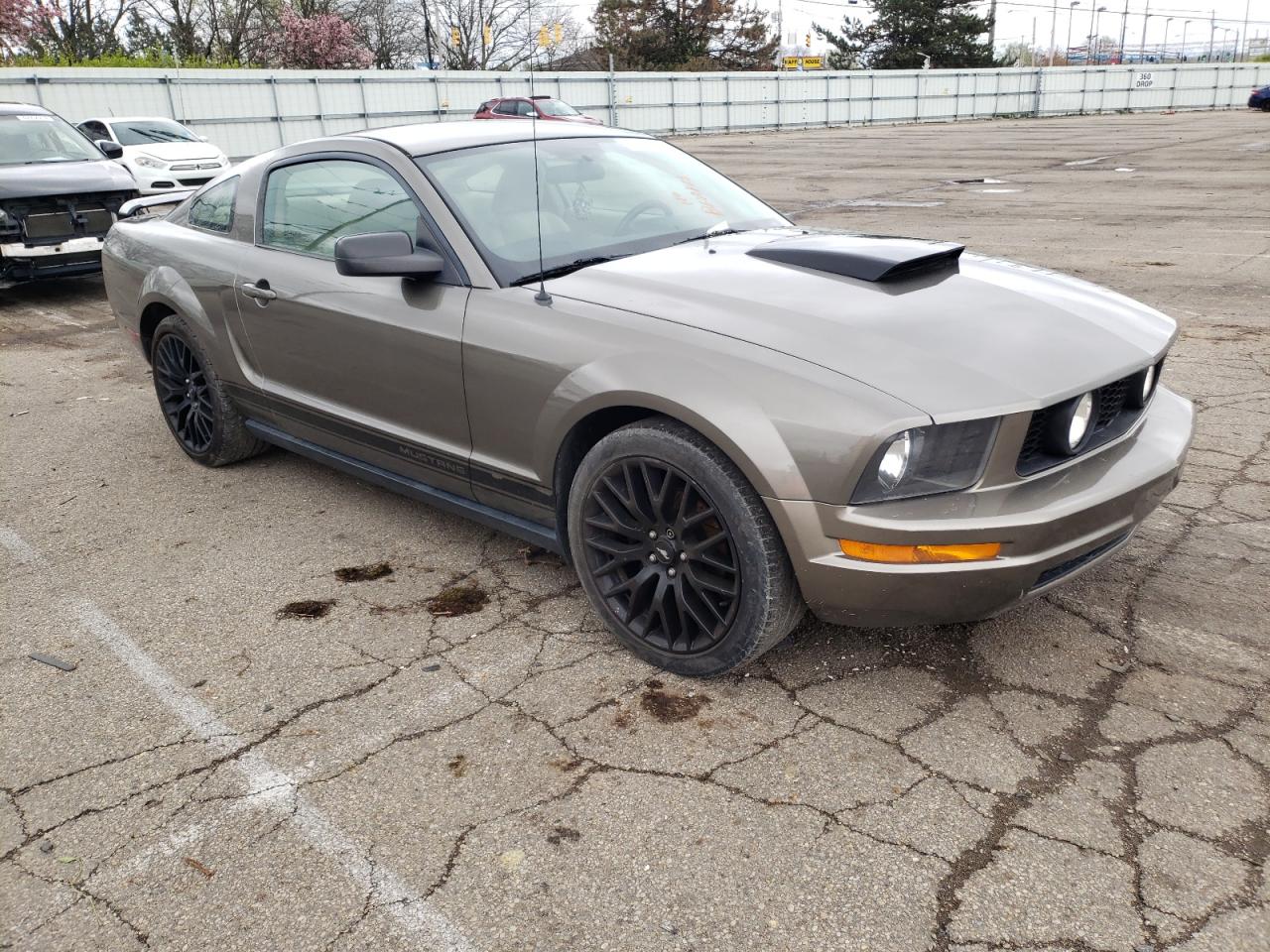 FORD MUSTANG 2005 with VIN 1ZVFT80N955244927 - Photo from auction