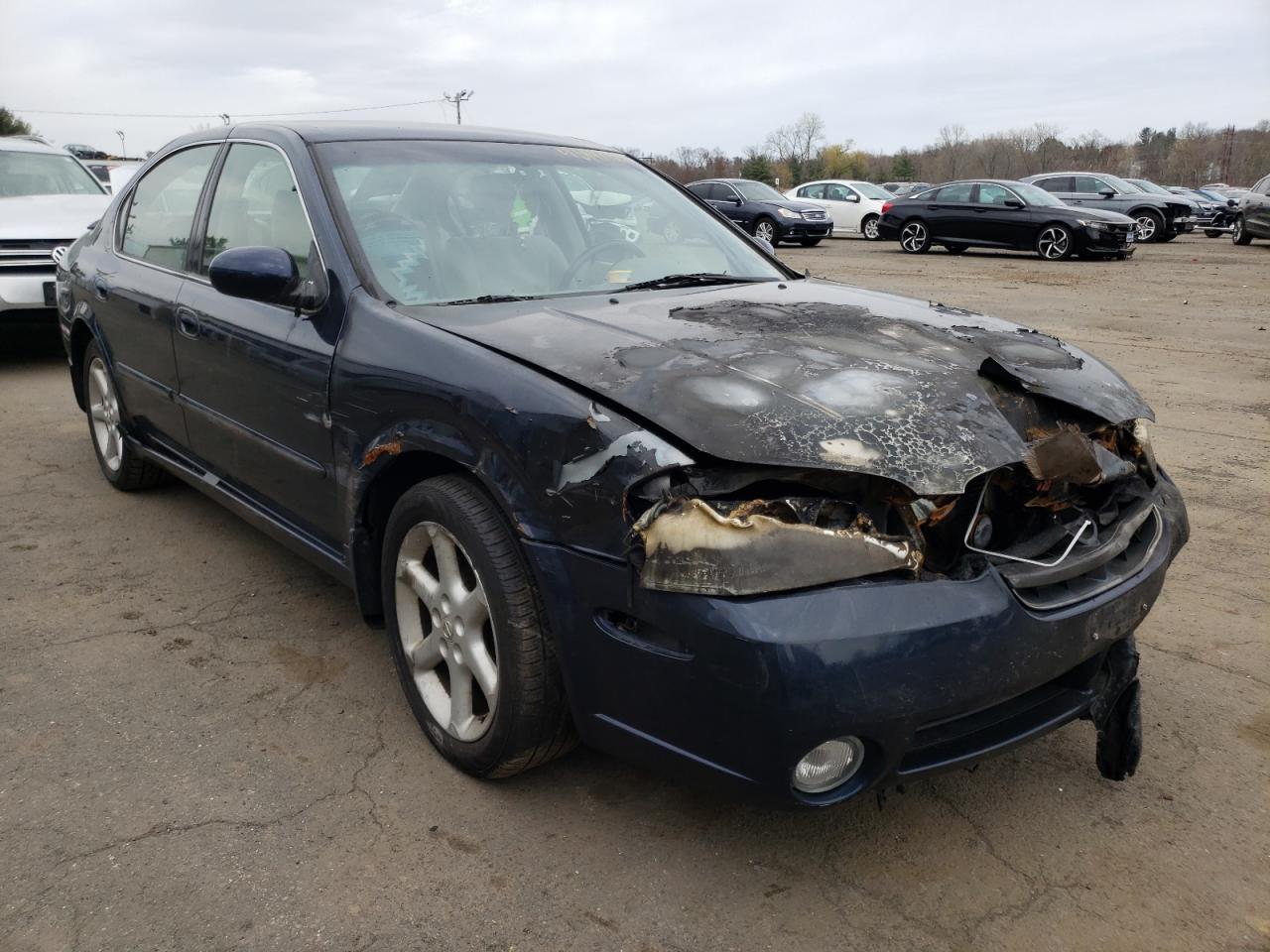 NISSAN MAXIMA GLE 2003 with VIN JN1DA31DX3T523131 - Photo from auction