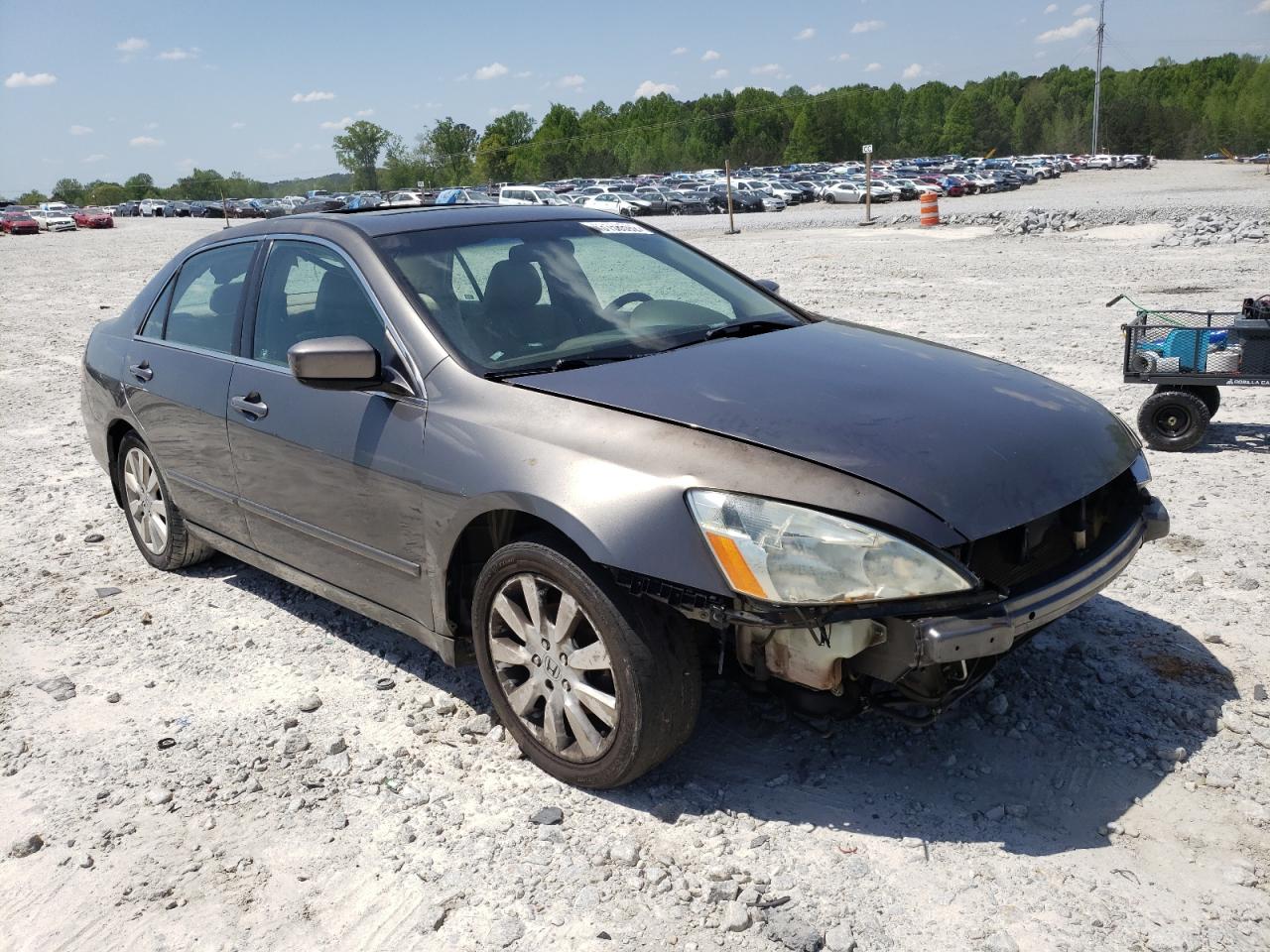 HONDA ACCORD EX 2007 with VIN 1HGCM66577A073587 - Photo from auction