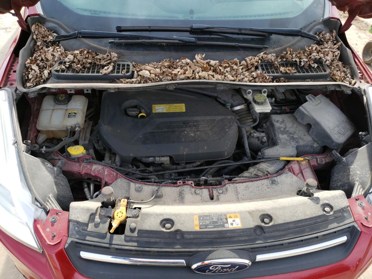 Photo 7 from auction – 2013 FORD ESCAPE SE with VIN 1FMCU0GX6DUB22652