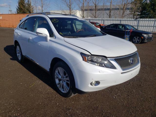 LEXUS RX 450 2010 with VIN JTJBC1BA6A2020154 - Photo from auction