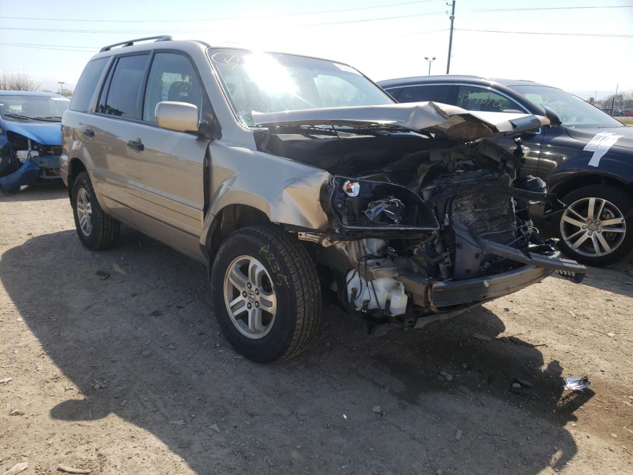 HONDA PILOT EXL 2005 with VIN 5FNYF18575B020312 - Photo from auction
