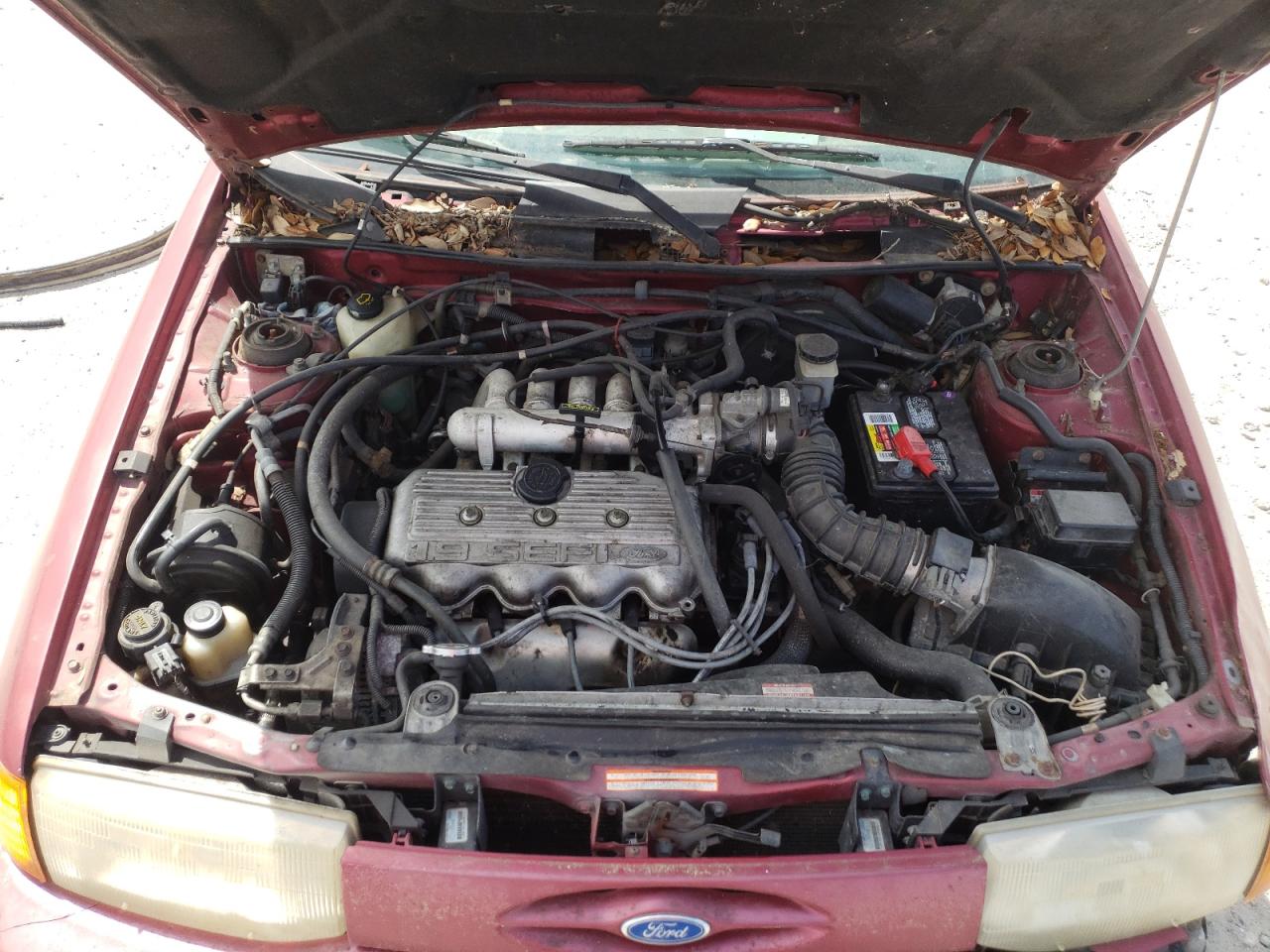 Photo 7 from auction – 1994 FORD ESCORT LX with VIN 1FARP15J9RW285808