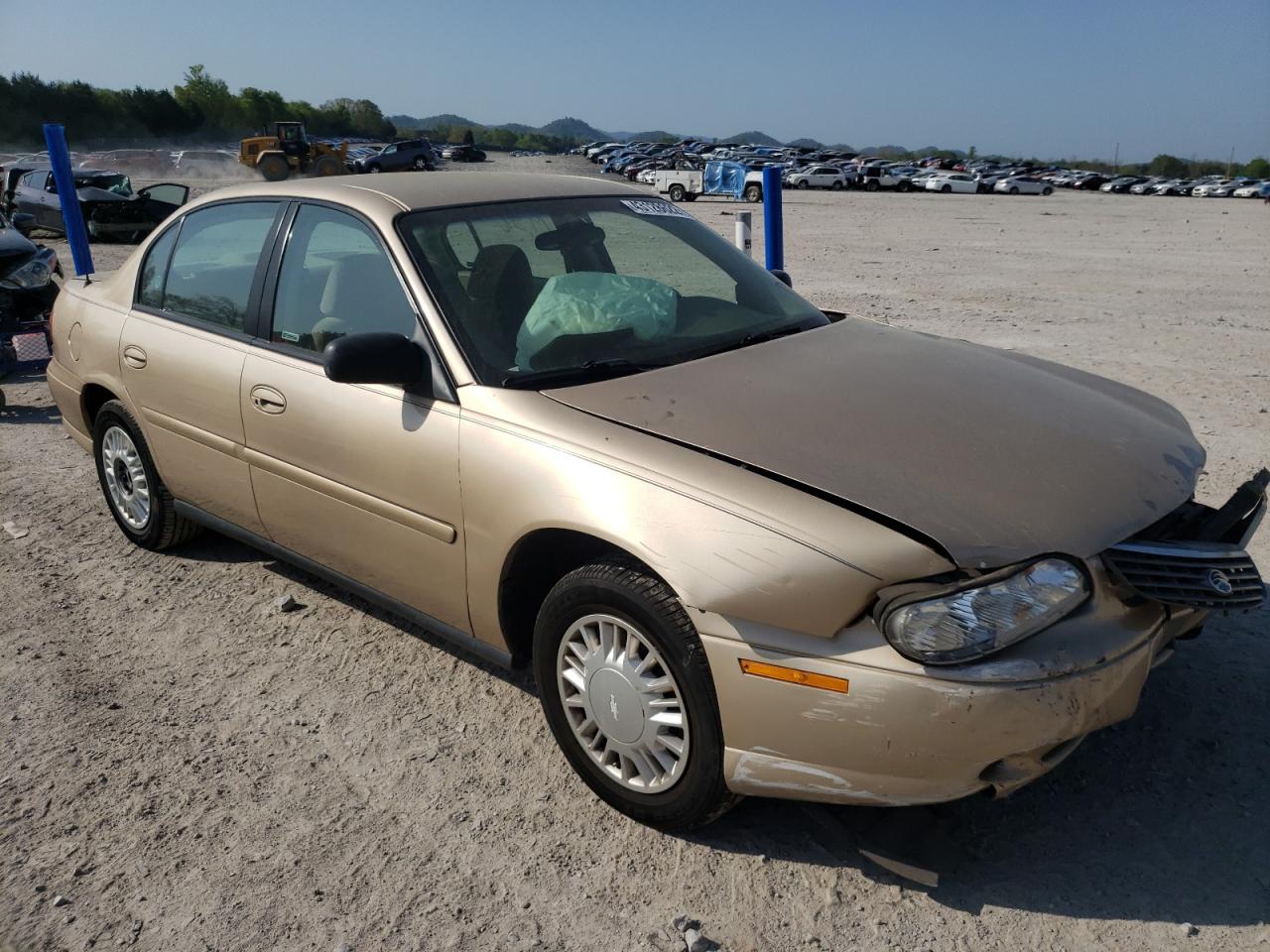 CHEVROLET MALIBU 2002 with VIN 1G1ND52J12M527062 - Photo from auction