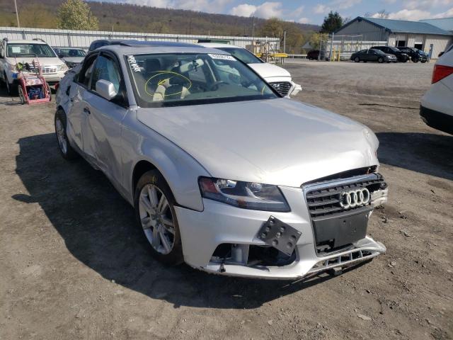 AUDI A4 PREMIUM 2011 with VIN WAUAFAFL8BN033244 - Photo from auction