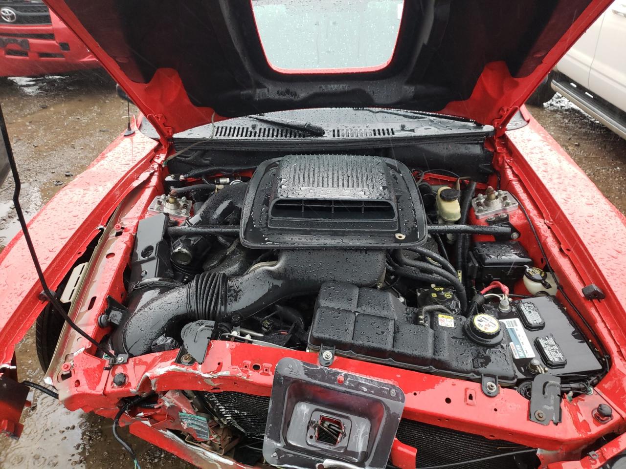 Photo 7 from auction – 2003 FORD MUSTANG MA with VIN 1FAFP42R63F424573