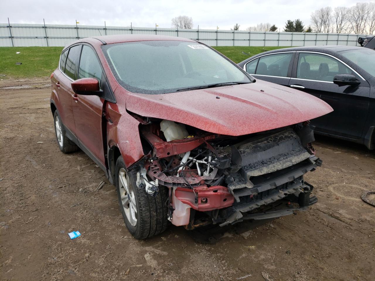 FORD ESCAPE SE 2014 with VIN 1FMCU9GX0EUC59186 - Photo from auction