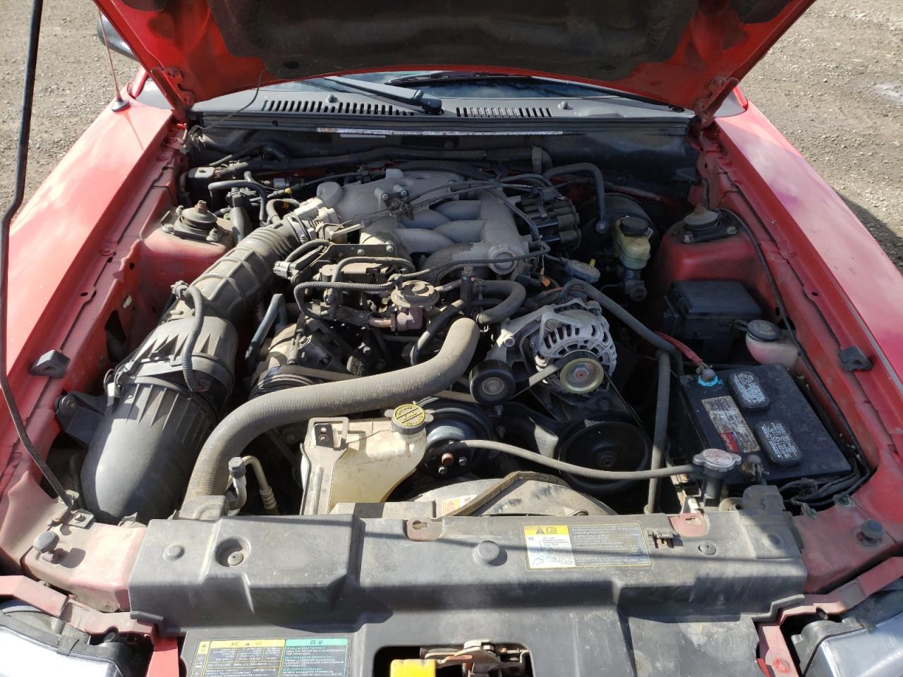 Photo 7 from auction – 2004 FORD MUSTANG with VIN 1FAFP44634F150673