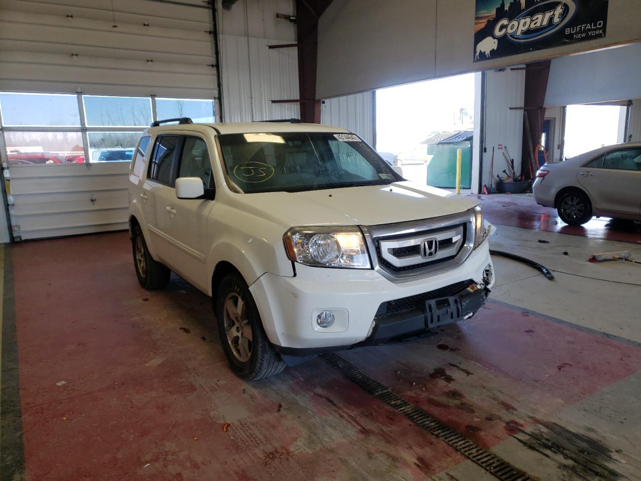 HONDA PILOT EX 2011 with VIN 5FNYF4H45BB041955 - Photo from auction