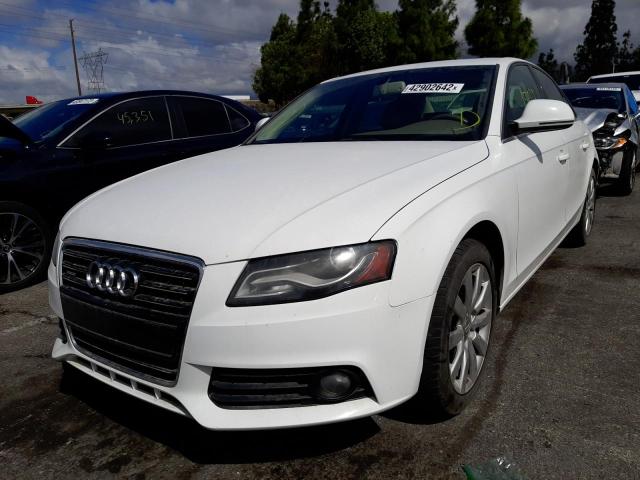 Photo 2 from auction – 2009 AUDI A4 3.2 QUA with VIN WAULK78K69A147465