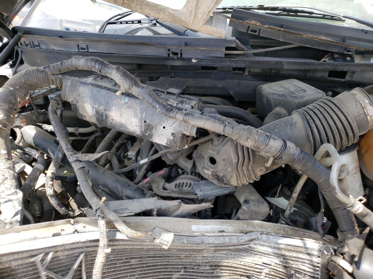 Photo 7 from auction – 2010 FORD F150 SUPER with VIN 1FTEW1E87AFA14145