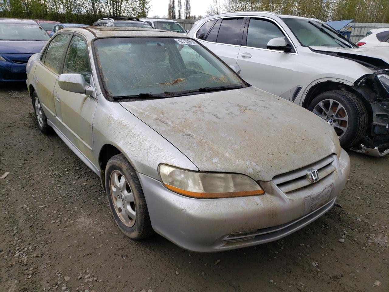 HONDA ACCORD EX 2002 with VIN 1HGCG56622A062161 - Photo from auction