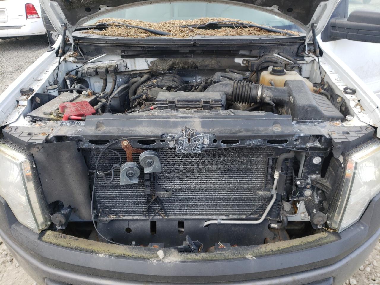 Photo 7 from auction – 2013 FORD F150 with VIN 1FTMF1EM1DKE95160