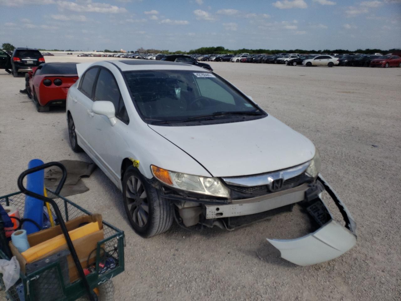 HONDA CIVIC EX 2011 with VIN 19XFA1F89BE002446 - Photo from auction