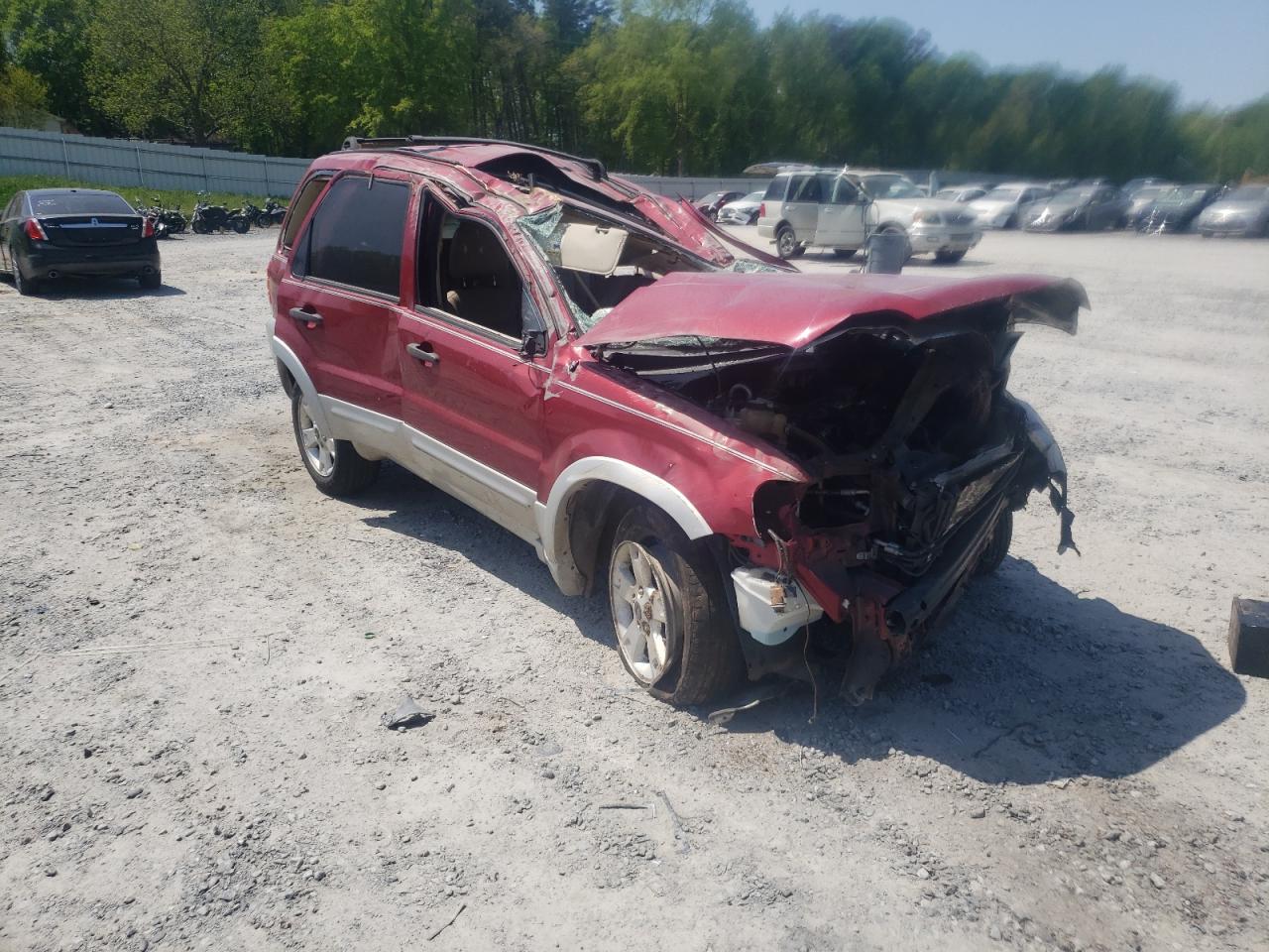 FORD ESCAPE XLT 2007 with VIN 1FMYU03147KB51932 - Photo from auction