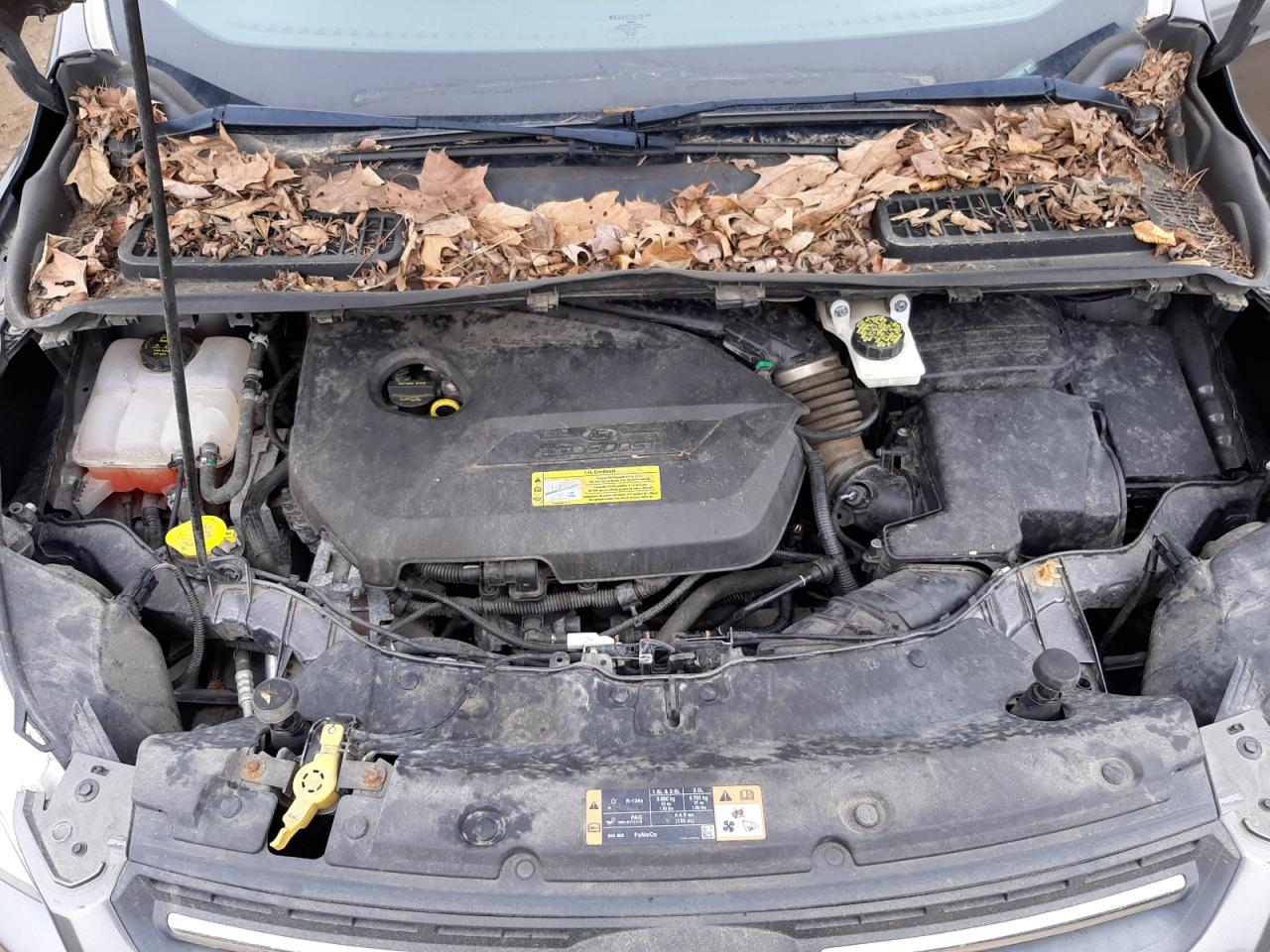 Photo 7 from auction – 2014 FORD ESCAPE SE with VIN 1FMCU9GX0EUC34062