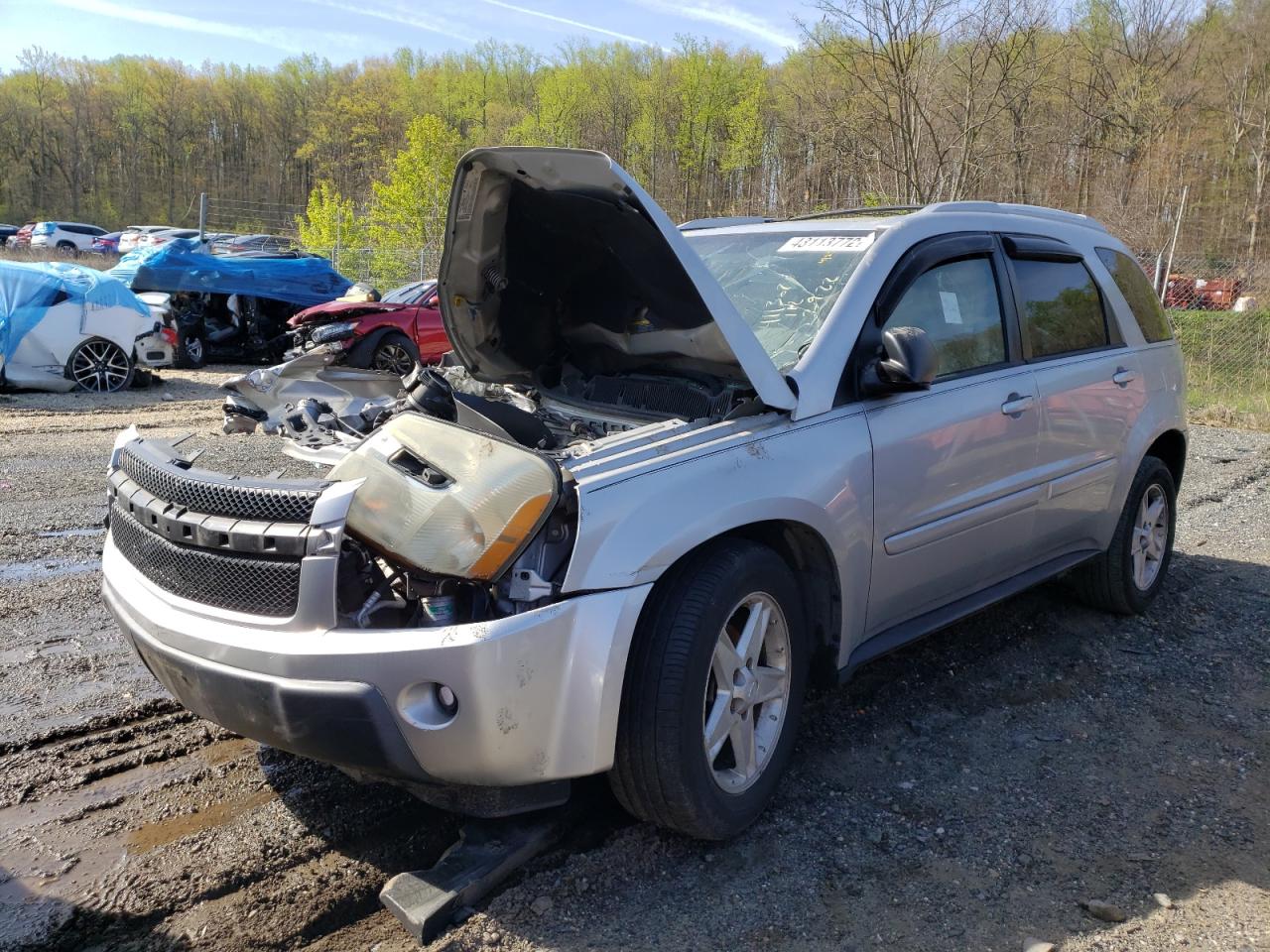 Photo 2 from auction – 2005 CHEVROLET EQUINOX LT with VIN 2CNDL73F256167245