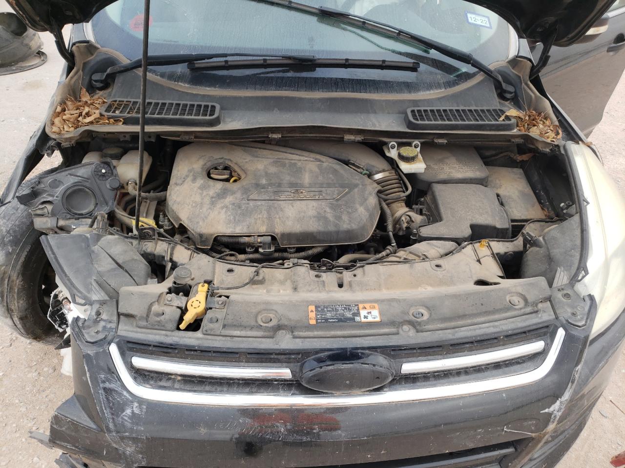 Photo 7 from auction – 2014 FORD ESCAPE TIT with VIN 1FMCU0JX1EUE38986