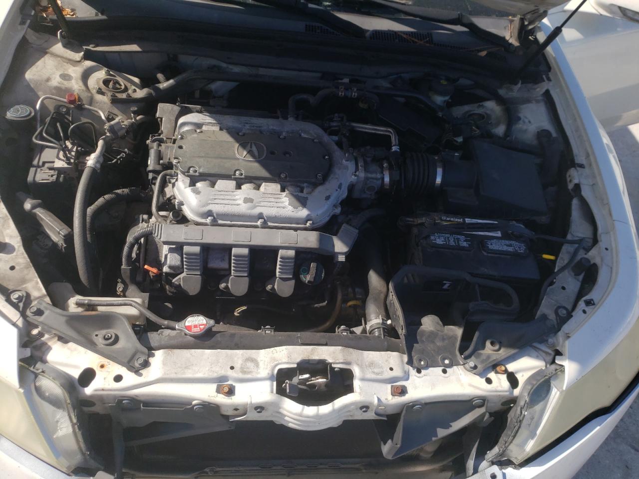 Photo 7 from auction – 2009 ACURA TL with VIN 19UUA86509A026817