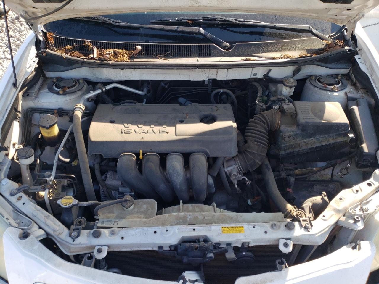 Photo 7 from auction – 2005 PONTIAC VIBE with VIN 5Y2SL63895Z406057