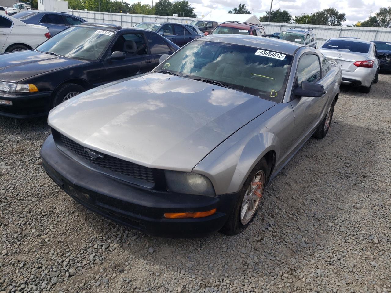 Photo 9 from auction – 2008 FORD MUSTANG with VIN 1ZVHT80N985115048