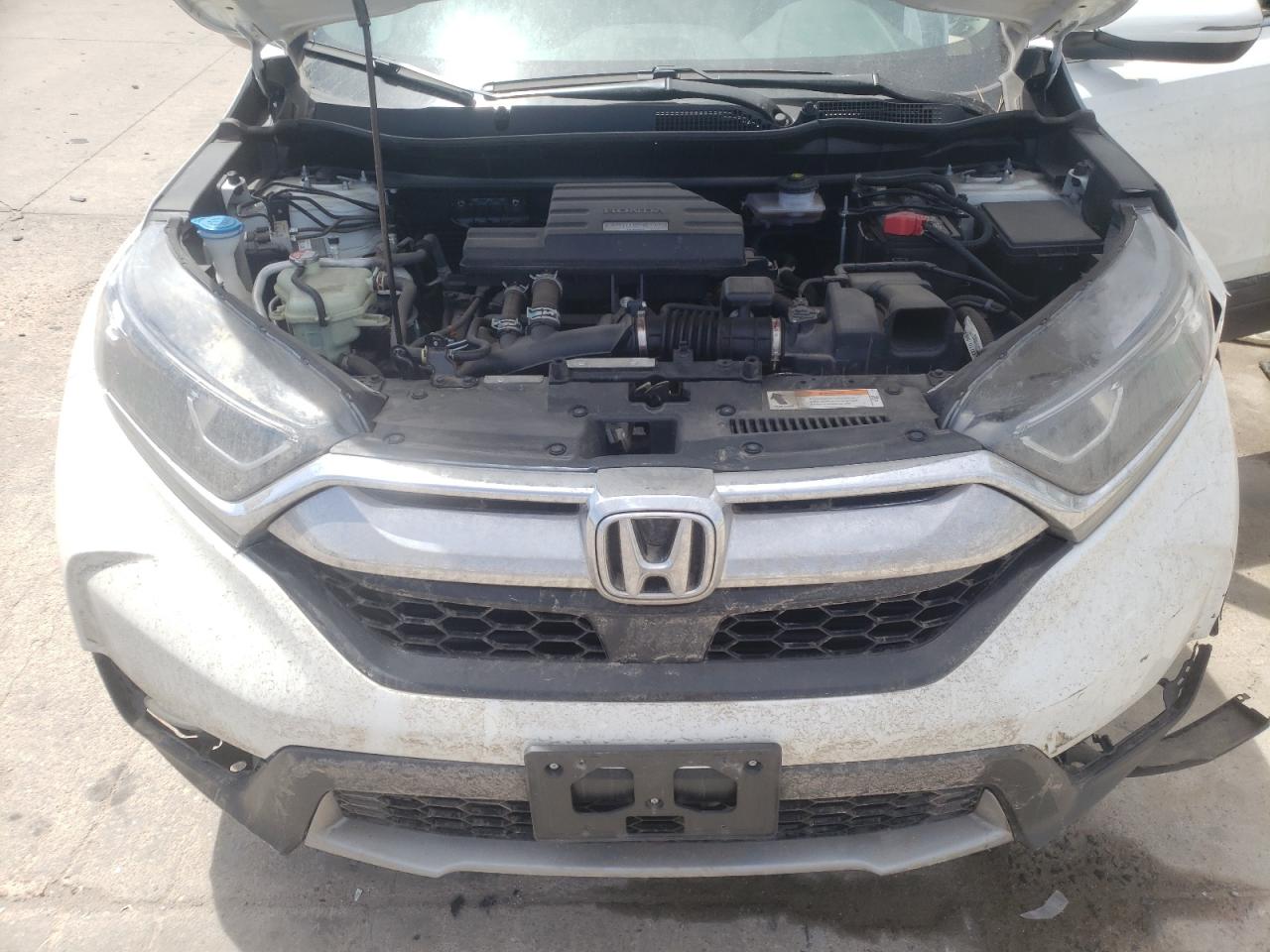 Photo 7 from auction – 2019 HONDA CR-V EX with VIN 7FARW2H55KE056915