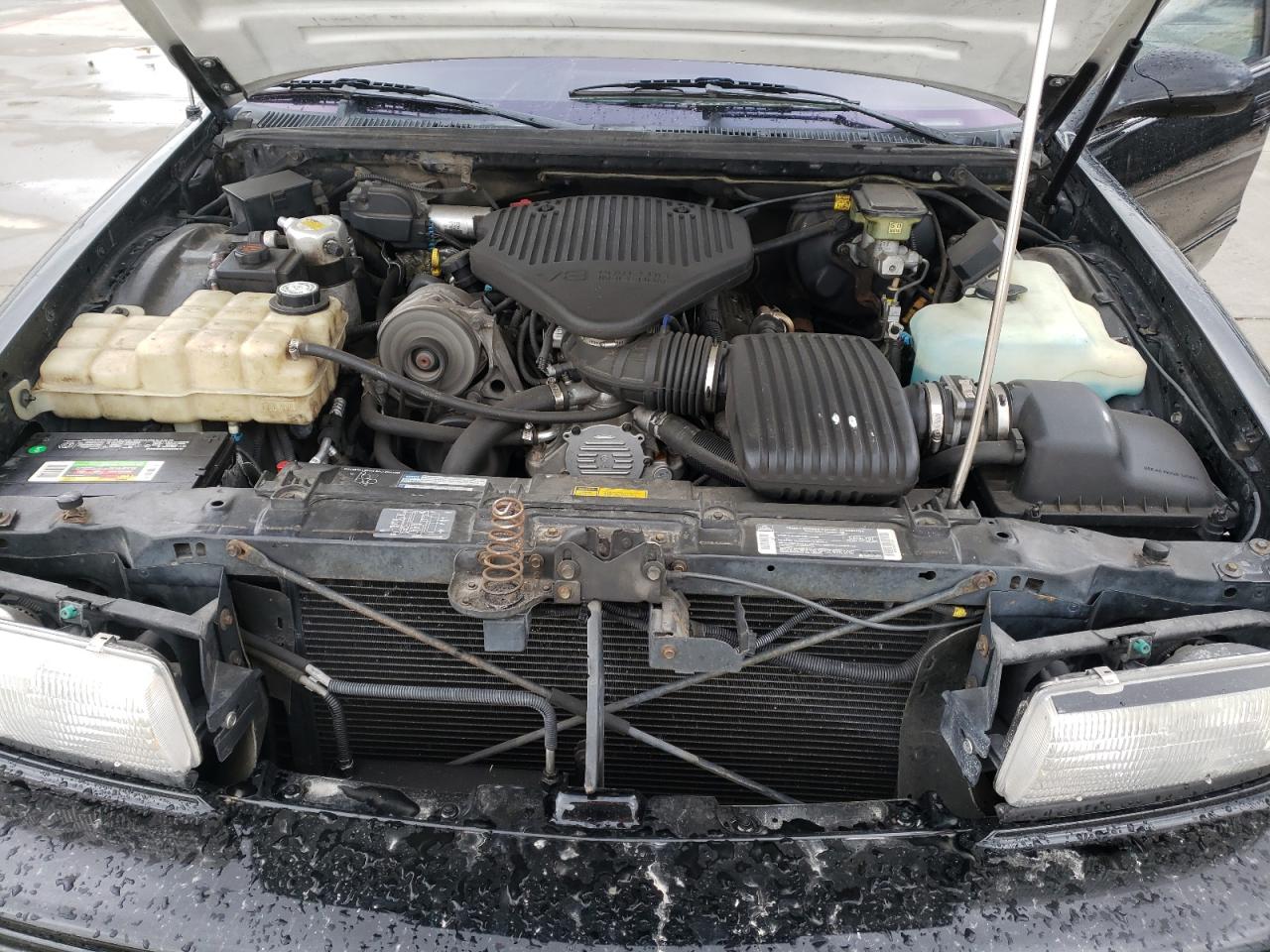 Photo 7 from auction – 1996 CHEVROLET CAPRICE with VIN 1G1BL52PXTR173265