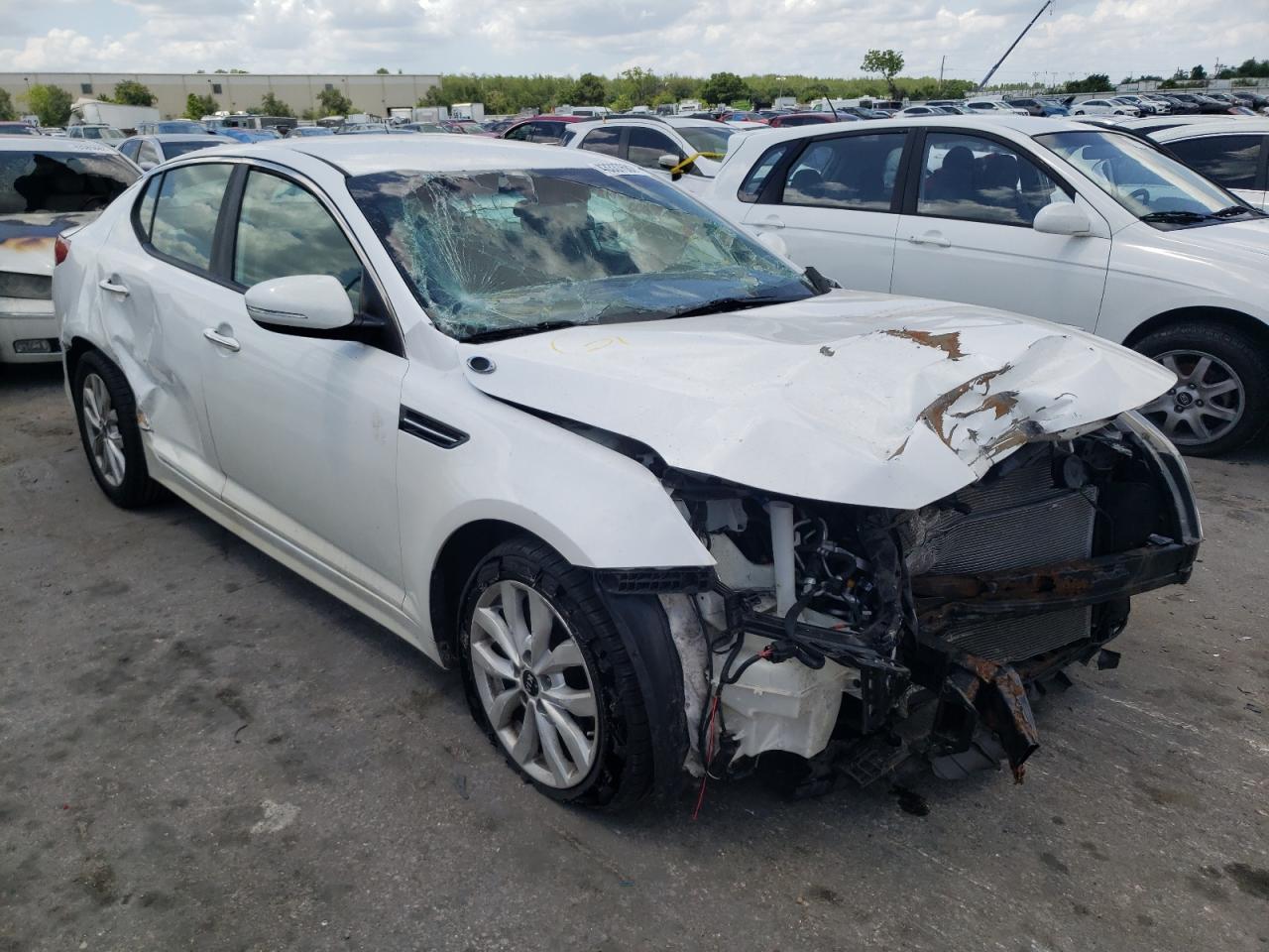 KIA OPTIMA LX 2015 with VIN KNAGM4A76F5630491 - Photo from auction