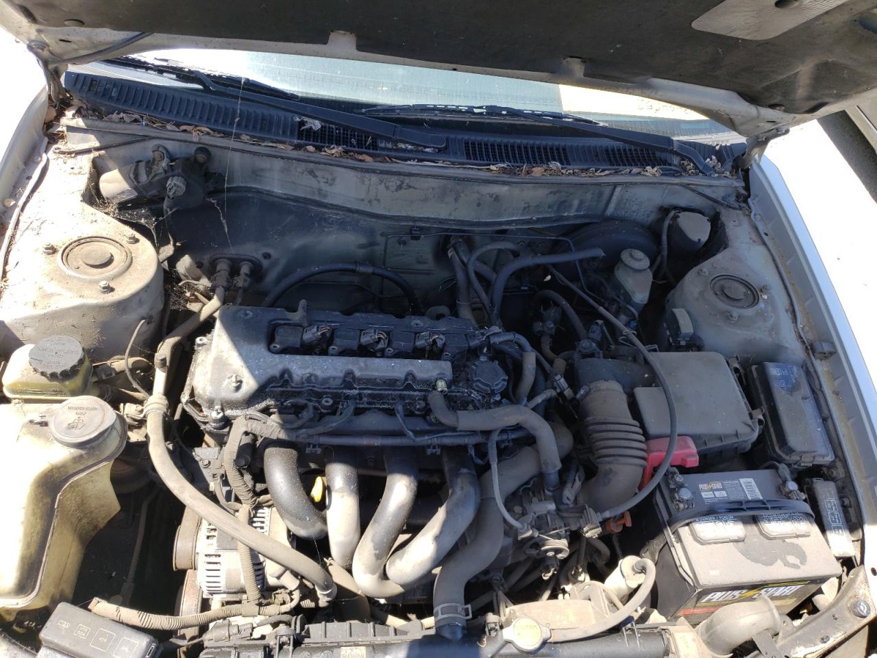 Photo 7 from auction – 2001 TOYOTA COROLLA CE with VIN 1NXBR12E71Z527276