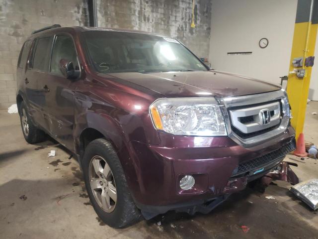 Photo 1 from auction – 2010 HONDA PILOT EXL with VIN 5FNYF4H67AB002266