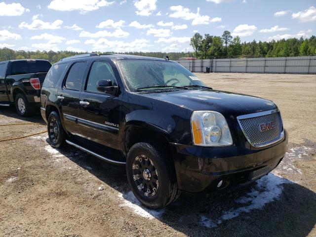 GMC YUKON DENA 2007 with VIN 1GKFK63887J149502 - Photo from auction