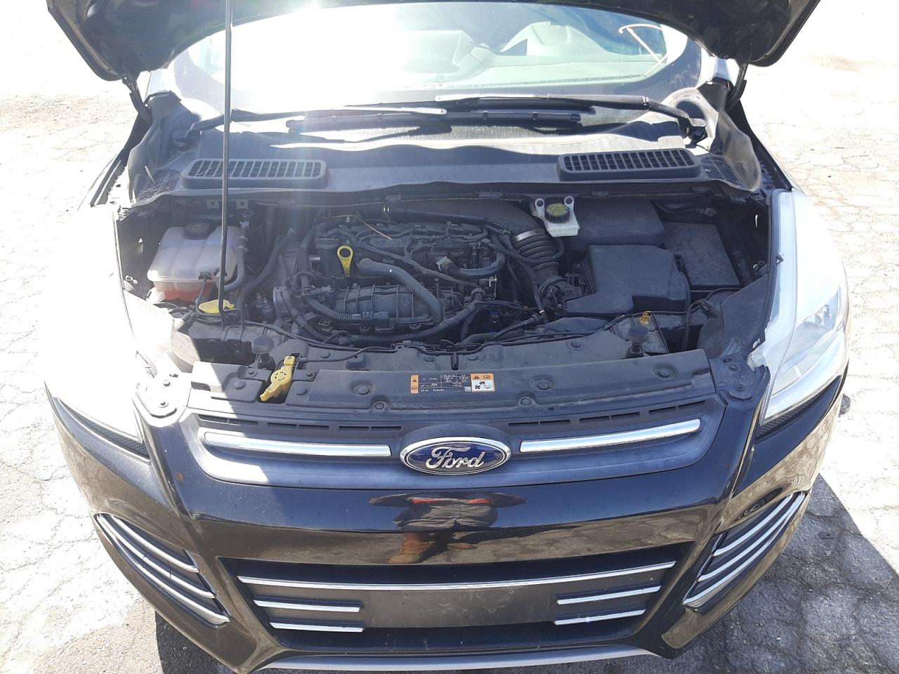Photo 7 from auction – 2014 FORD ESCAPE SE with VIN 1FMCU0GX9EUD00605