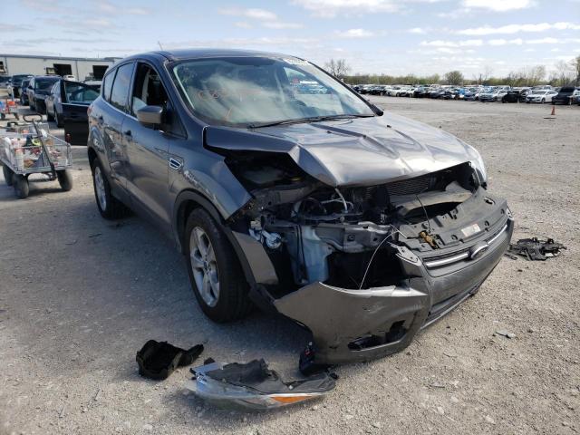 FORD ESCAPE SE 2014 с VIN 1FMCU0GX4EUC83437 - Фото с аукциона